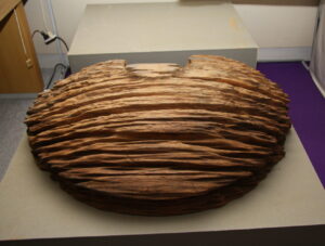 御陵から出土した木製の傘の一部です。半円状の部分だけになっています。