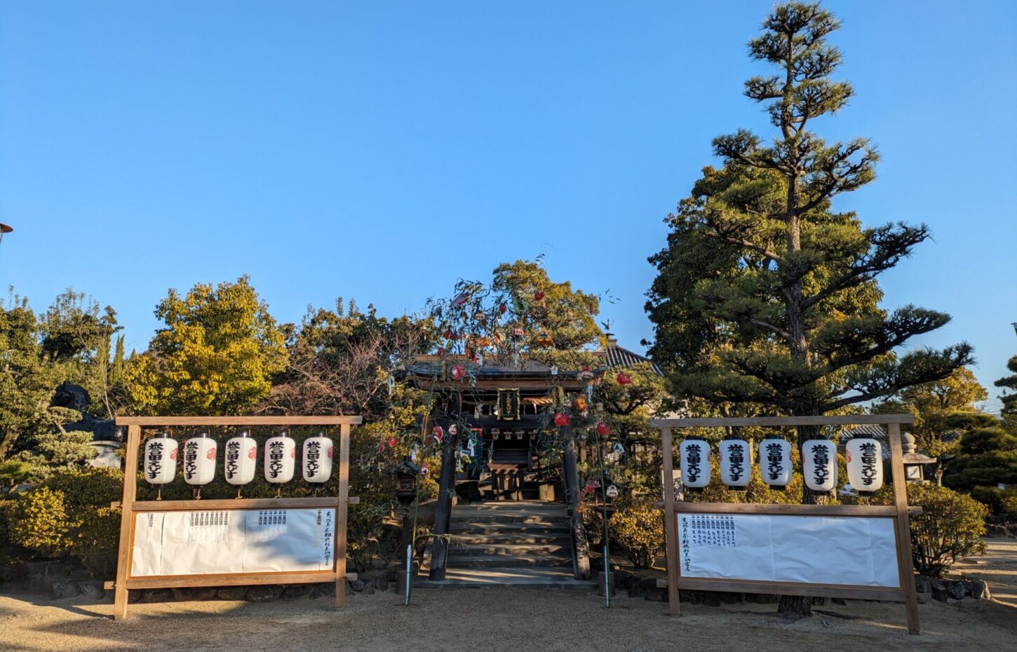 こんだえびす祭の様子です。竹に縁起物を付けた吉兆を鳥居前に一対立てています。両隣には提灯が並んでいます。